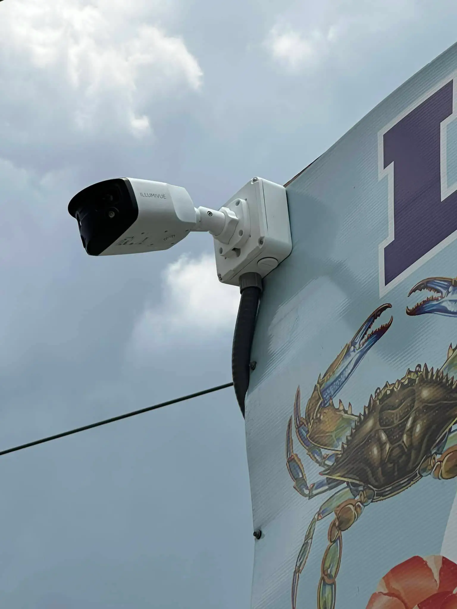 Commercial cameras, screen, or rack on the Westbank: daylight tall photo, blue light, brighter toward the top.